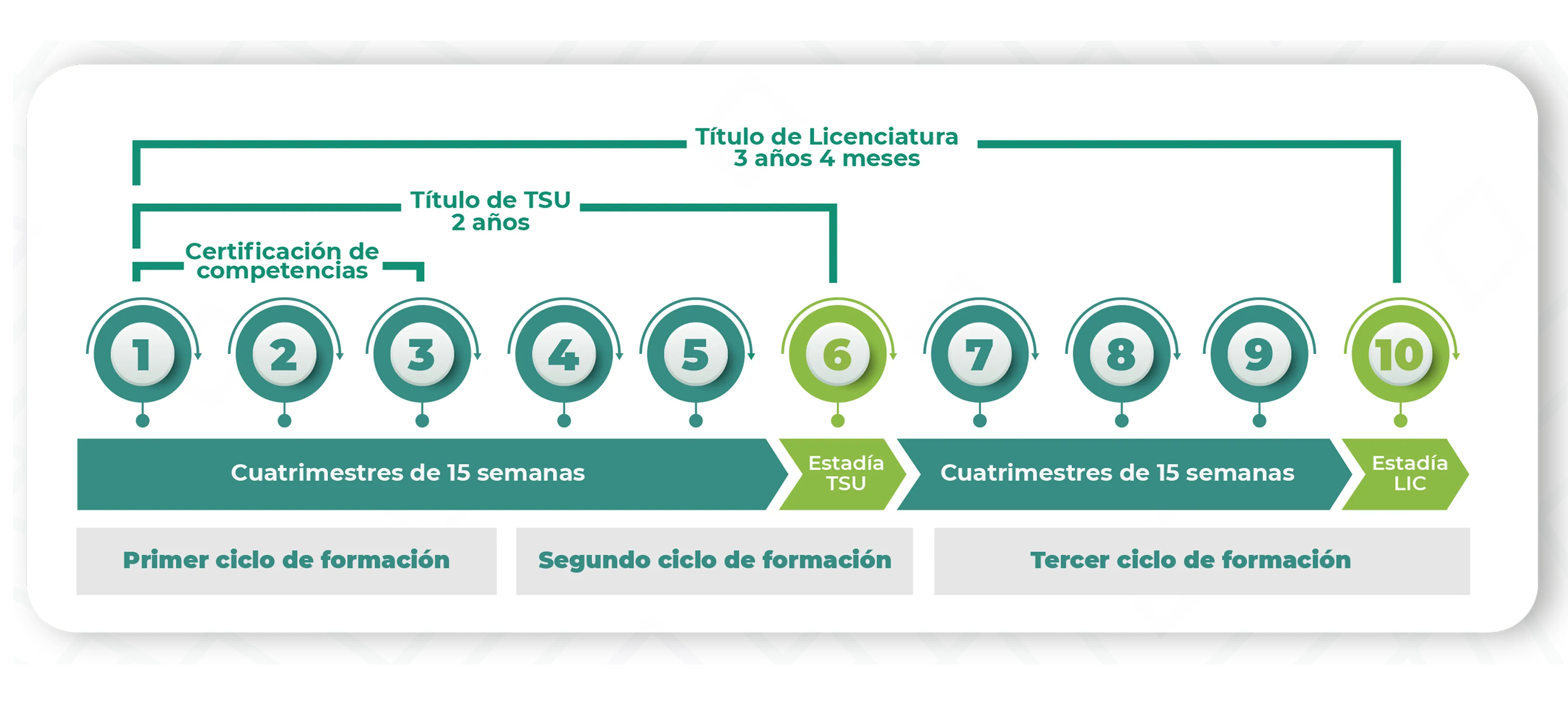 Modelo educativo UTNG
